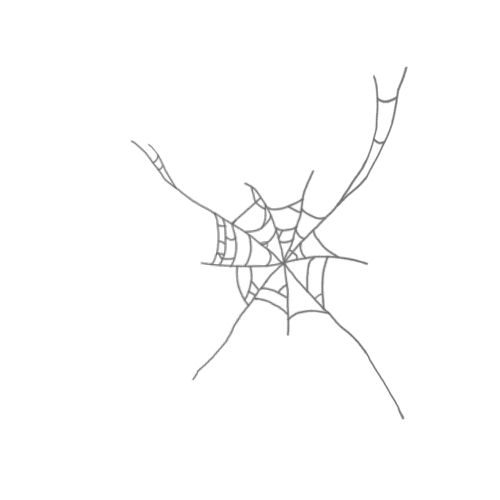 Cobweb 3